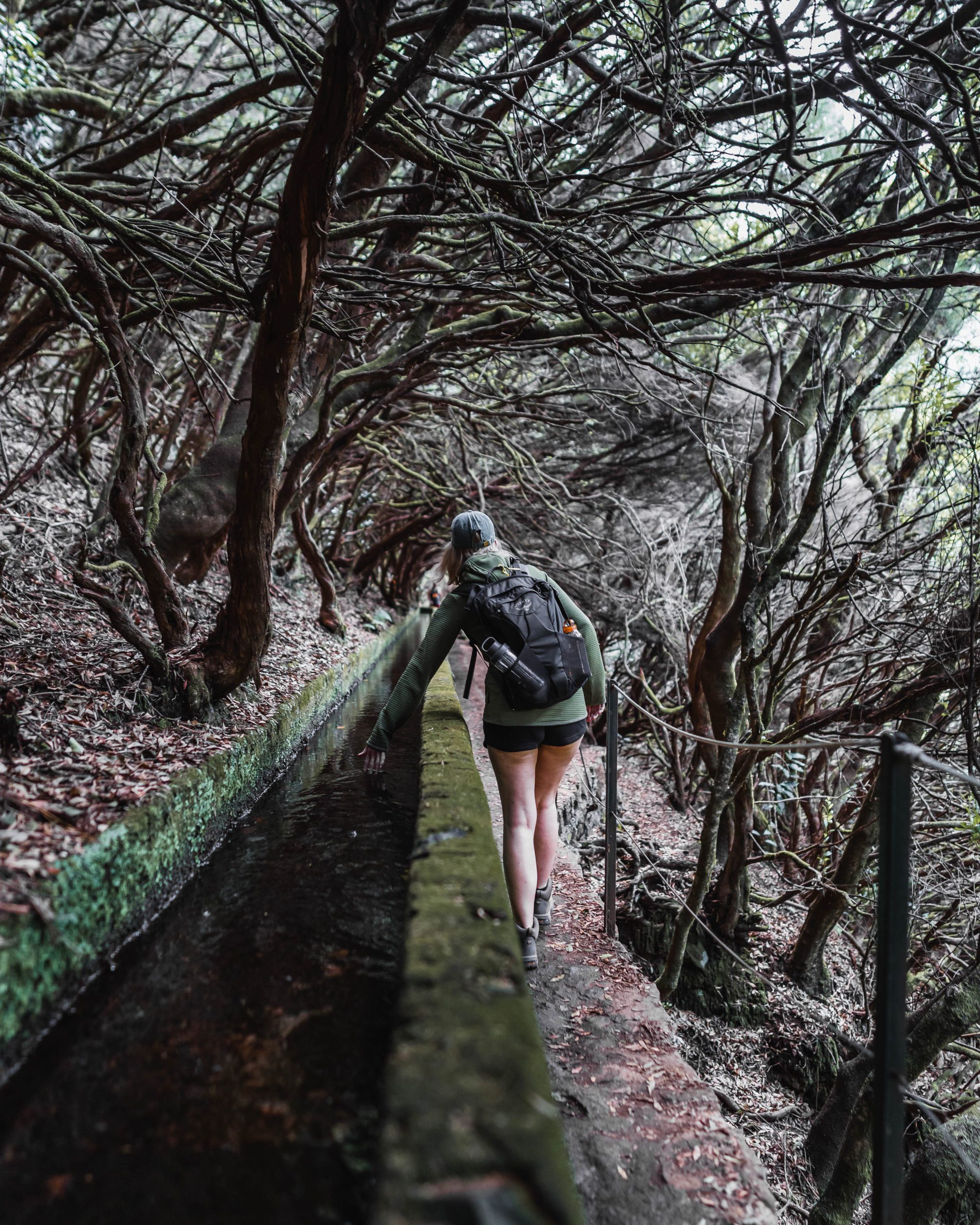 Madeira out in nature - Levada das 25 Fontes