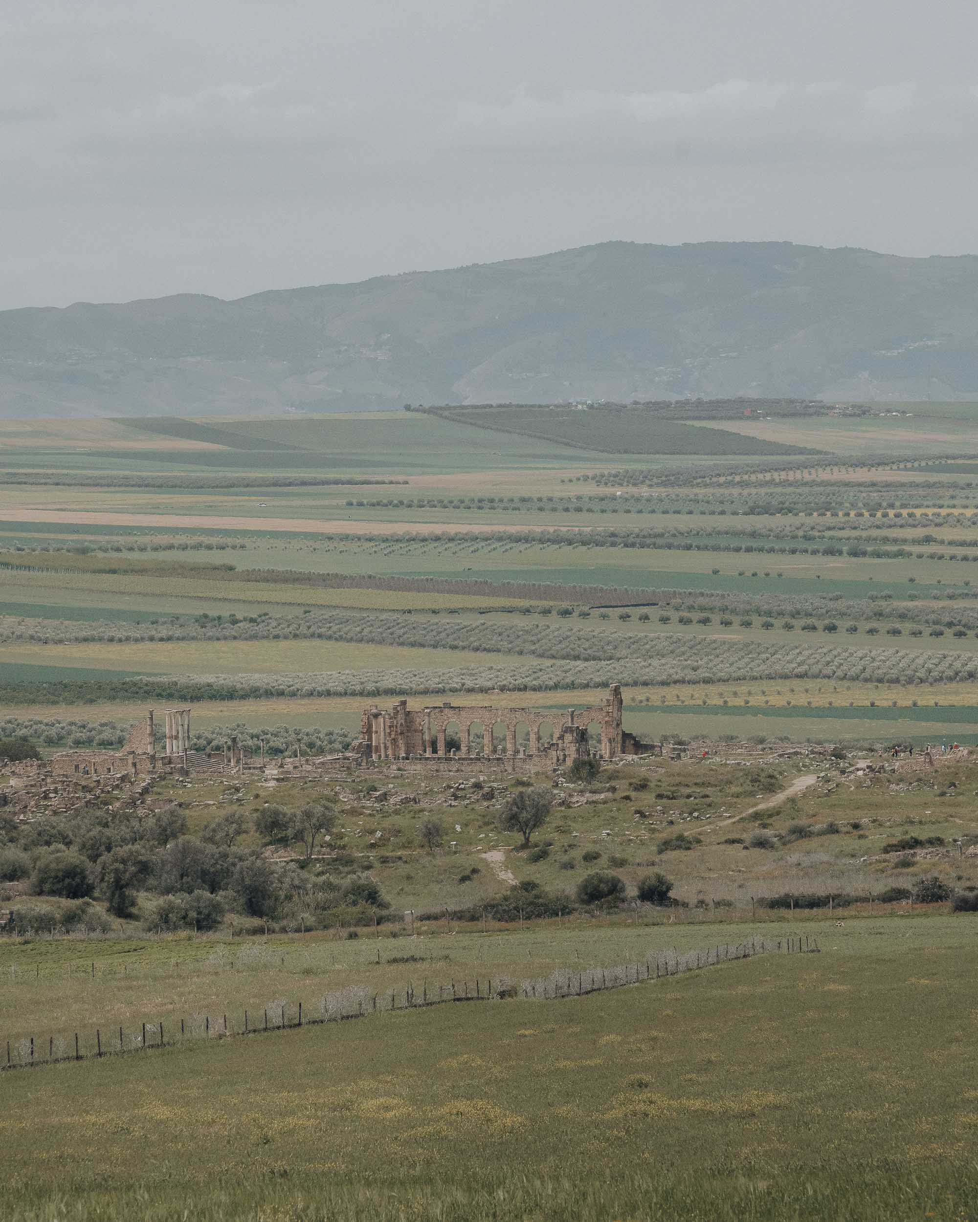 Volubilis