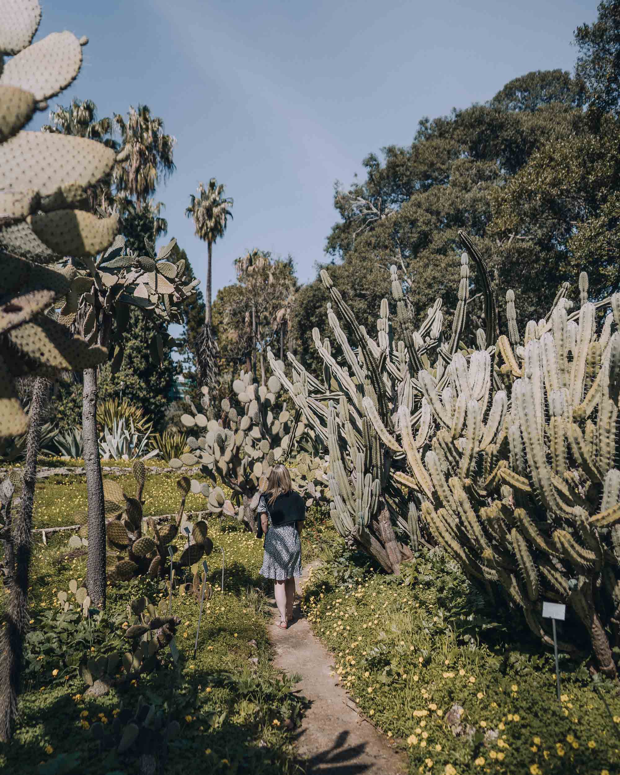 Kate within the cactus at the botanical garden in Palermo