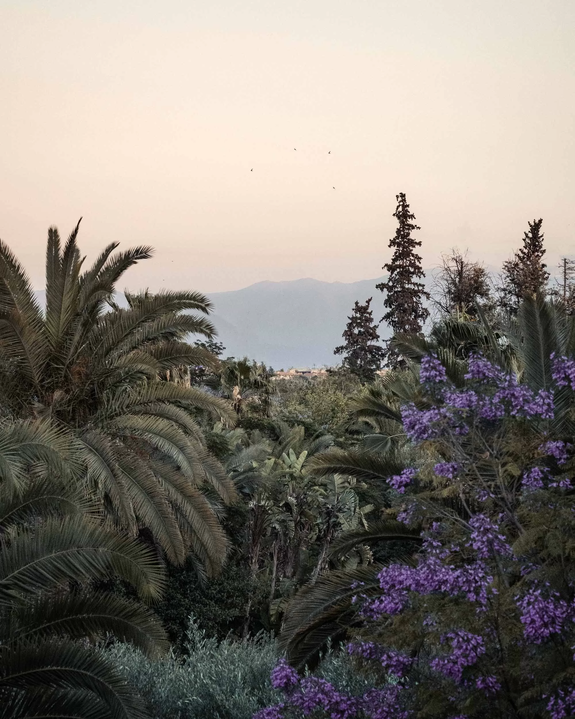 FourSeasons21 Sunset over a mountain in Marrakech