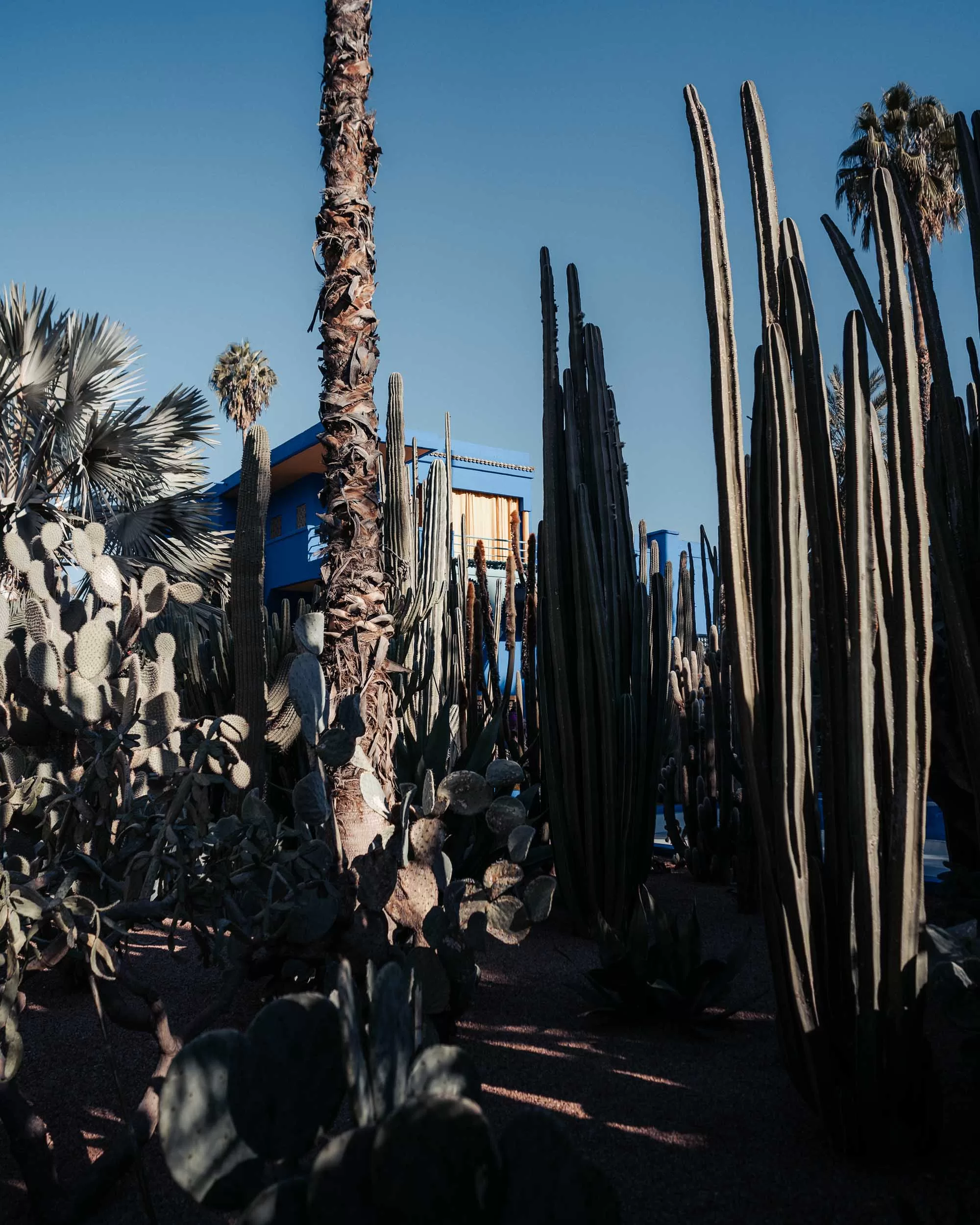 FourSeasons30 Jardin Majorelle Marrakech